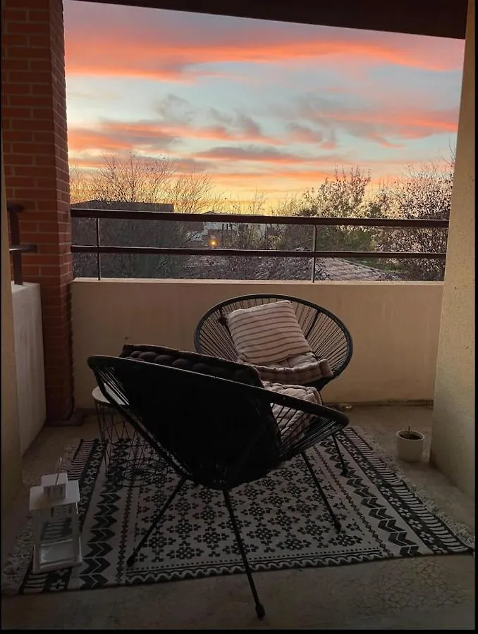Appartement Lumineux, De 2 A 4 Personnes Avec Piscine Plaisance-du-Touch Frankrig